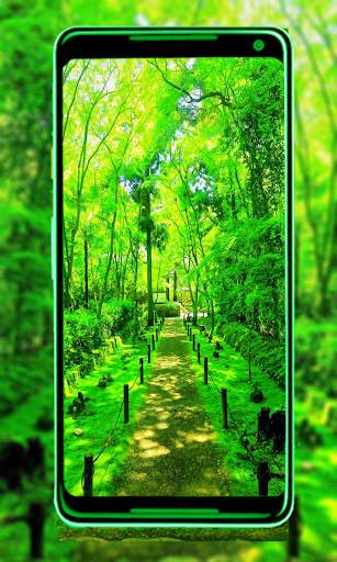 Green Nature New HD wallpaper: 4k Background image screenshot 1
