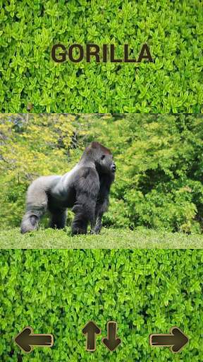 ZOO sounds quiz screenshot 5