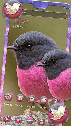 Pink Robin Launcher Theme screenshot 1