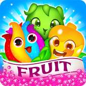 Fruit Splash