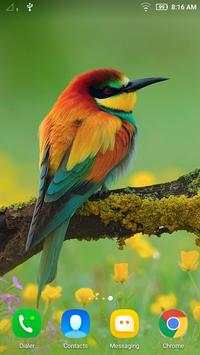 Bird Wallpaper screenshot 3