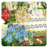 Color Flower Keyboard 10001004