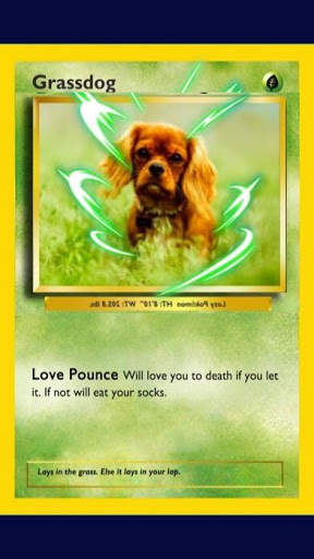 Card Maker For PKM screenshot 2
