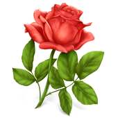 صور ورد للفيس on 9Apps