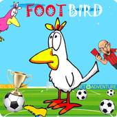 FOOTBIRD Lite 1.0