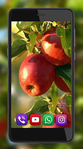 Apples Live Wallpaper screenshot 6