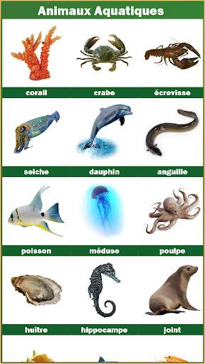 Animaux et oiseaux screenshot 4