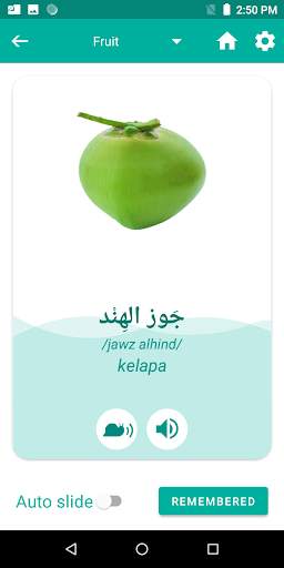 Indonesian Arabic Translator скриншот 4