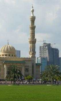 Beautiful mosques wallpapers screenshot 4