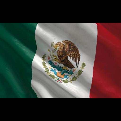 México TV 9.8