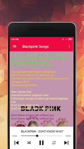 Blackpink Song Offline screenshot 8