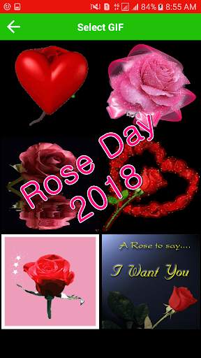 Rose Day Gif & Images 4 تصوير الشاشة