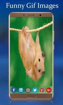 Funny Gif Images screenshot 3