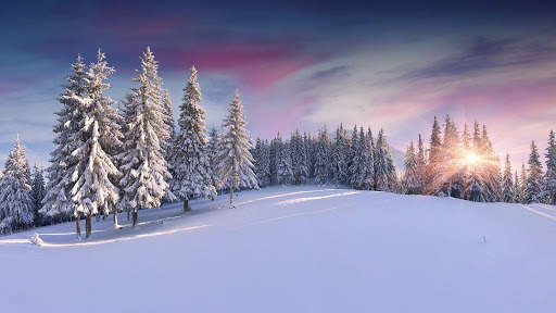 Winter Wallpapers : backgrounds hd screenshot 19