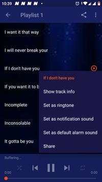Backstreet Boys Songs screenshot 3