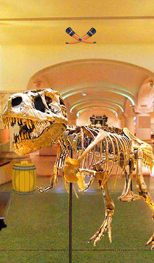 Camera Museum Escape screenshot 9