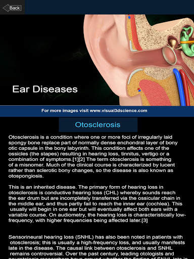 My Ear Anatomy screenshot 11