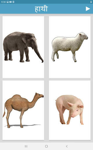 Learn Animals and Birds in Hin screenshot 19