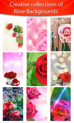Rose Photo Frames HD screenshot 6