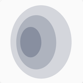 CircleVPN icon