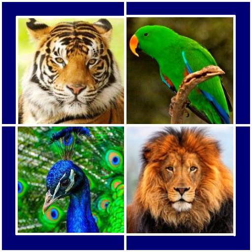 Animals and Birds 1.4