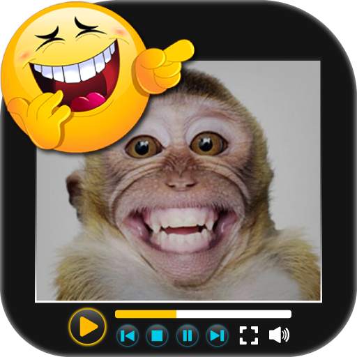 Funny Video 1.4