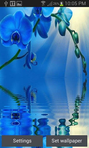 Blue Orchid Live Wallpaper screenshot 1