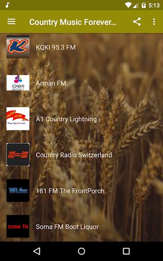 Country Music Radio - Western, Southern, Hillbilly screenshot 2