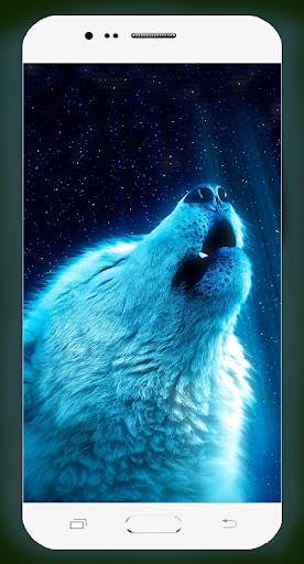 Wolf Wallpaper HD screenshot 4
