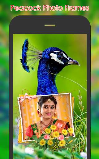 Peacock Photo Frames screenshot 3