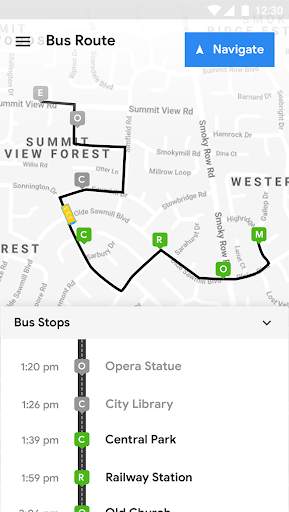 City Bus Driver- Template screenshot 3