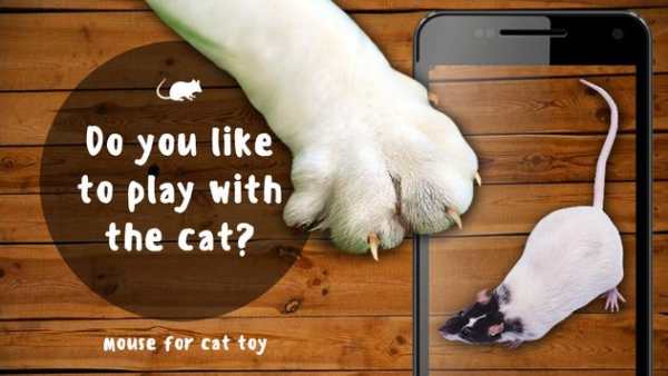 Mouse for cat toy screenshot 1