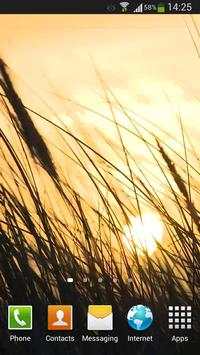 Grass Live Wallpaper HD screenshot 6