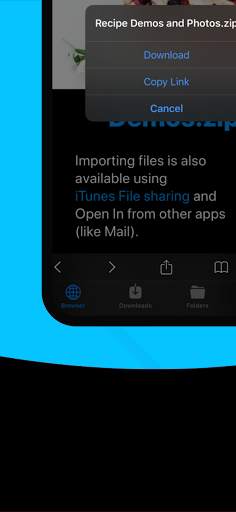 Dmanager Browsing Downloader screenshot 3