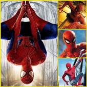 Spiderman Wallpaper HD 1.0