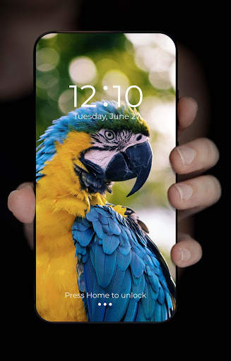 Cool Wallpaper Expert Best 4K & HD Wallpapers screenshot 3
