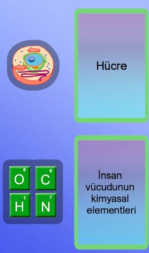 Anatomi Oyunu screenshot 6