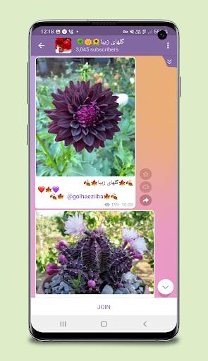 Talaei Messenger screenshot 1