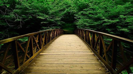 Green Nature HD Wallpaper screenshot 4