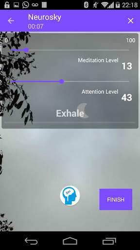 BrainZen - Train your Brain with NeuroSky screenshot 2