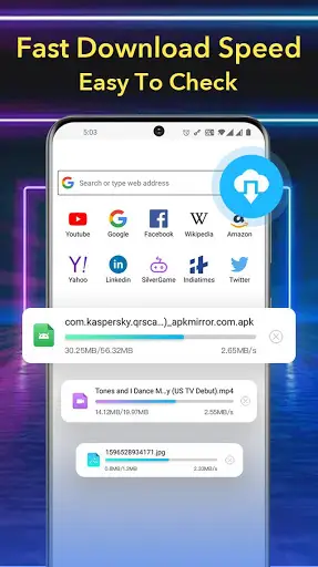 Web Browser screenshot 2