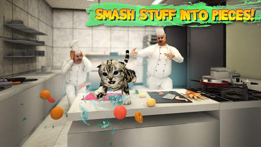 Cat Simulator screenshot 3