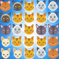 Cat Blast