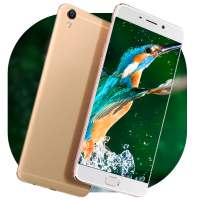 Theme, Oppo F1s Selfie Neo 7