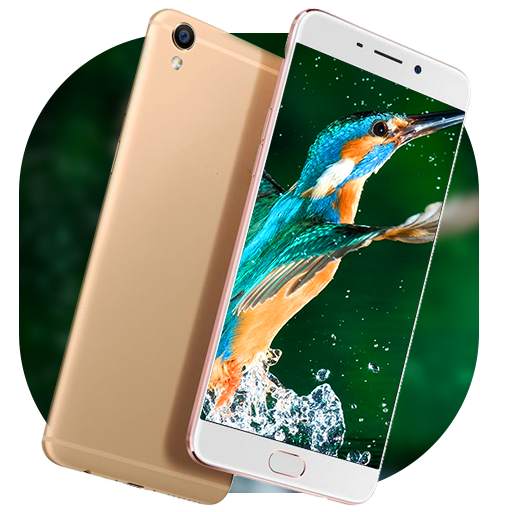 Theme, Oppo F1s Selfie Neo 7 1.0.6