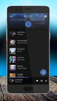 Online Offline Music Player screenshot 3