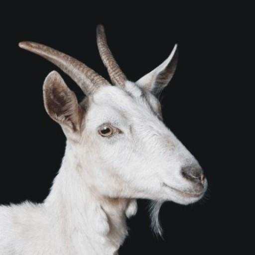 Qurbani App 25.0.26