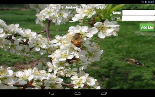 Email Sign Up screenshot 9