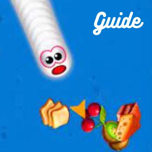 Worms Zone io Guide 1.0.0