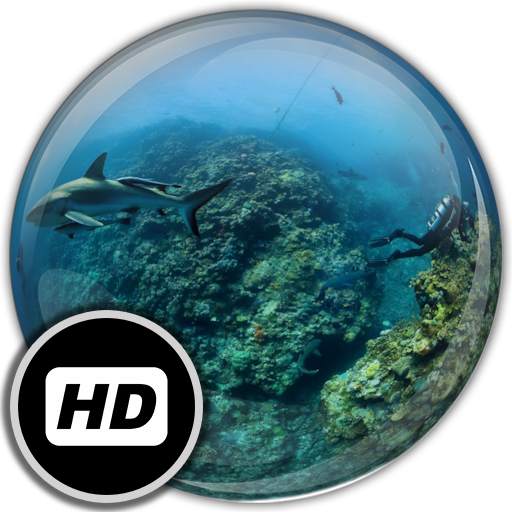 Panorama Wallpaper: Diving 1.1